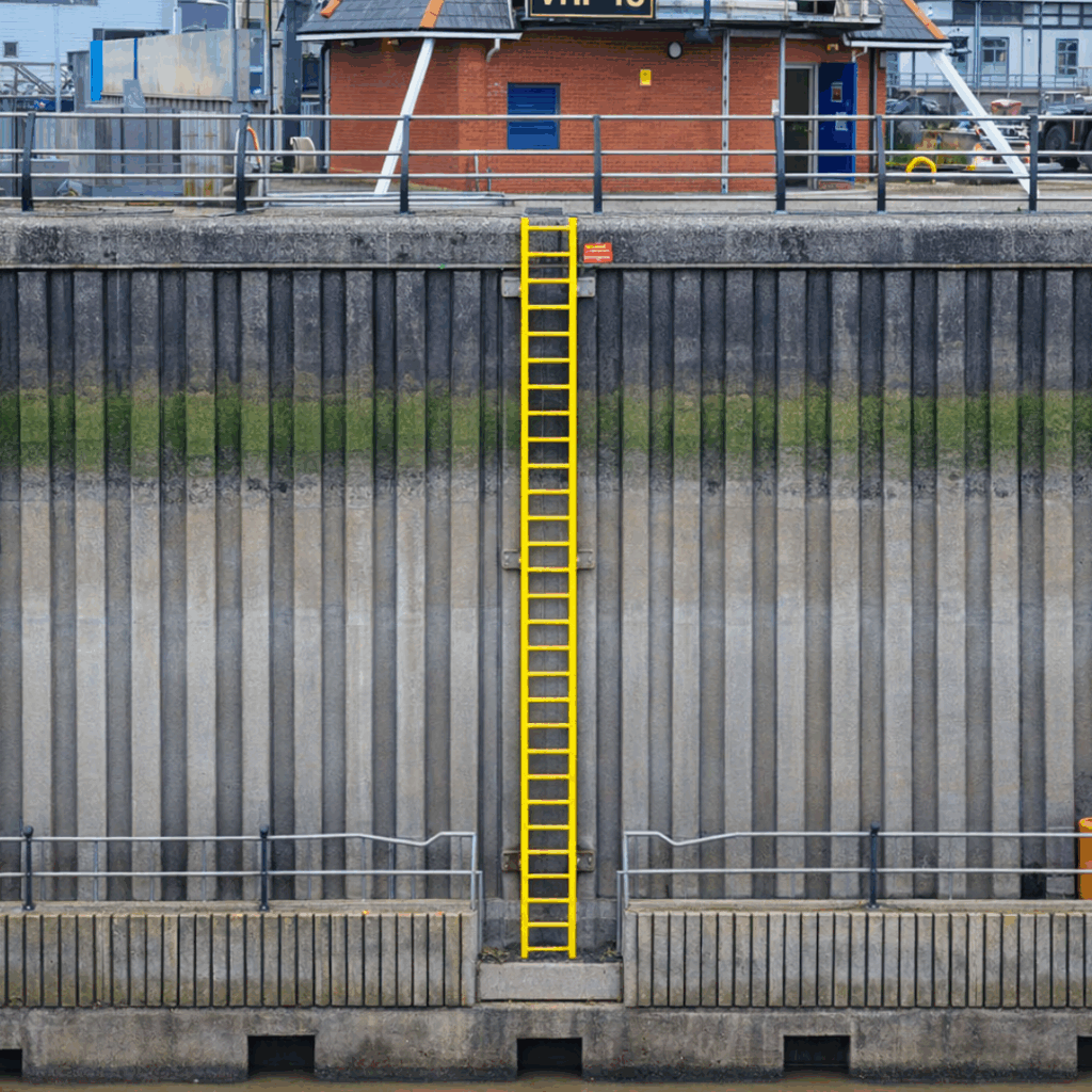 GRP Vertical Ladder